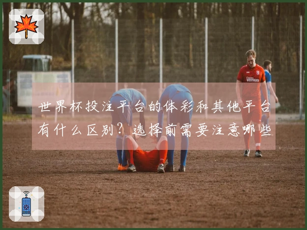 世界杯投注平台的体彩和其他平台有什么区别？选择前需要注意哪些要点
