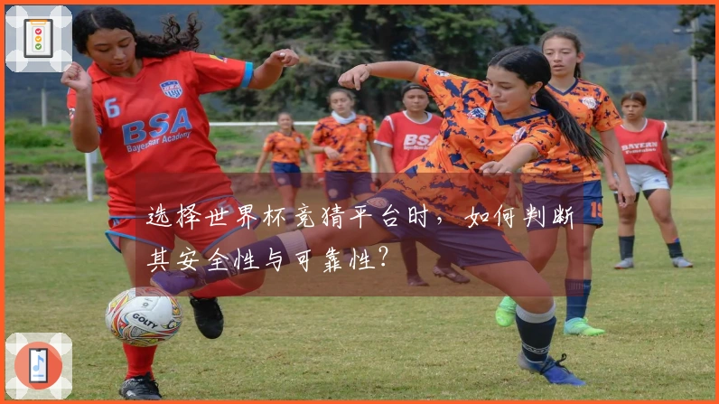 选择世界杯竞猜平台时，如何判断其安全性与可靠性？
