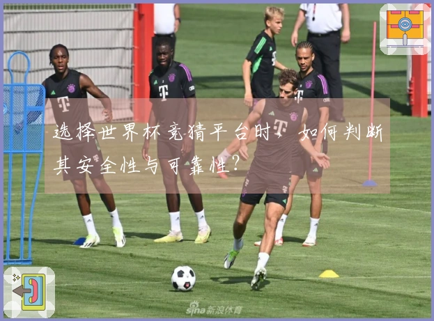 选择世界杯竞猜平台时，如何判断其安全性与可靠性？
